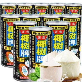 正宗椰樹牌椰汁 245ml*12罐 椰汁飲料 椰子汁飲料 鮮榨椰奶 無糖 海南特產椰汁 水果汁飲料植物 椰奶果汁飲料