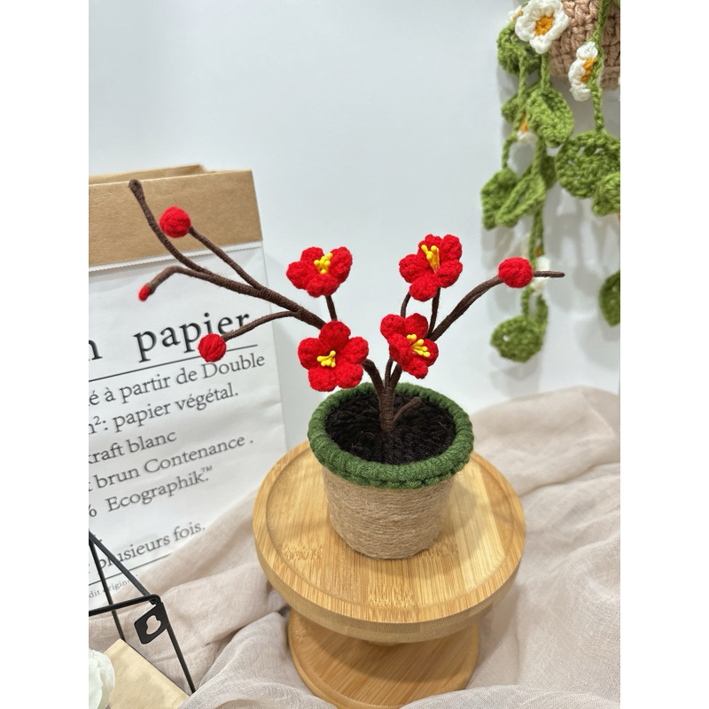 紅梅盆栽的價格推薦- 2026年5月| 比價比個夠BigGo