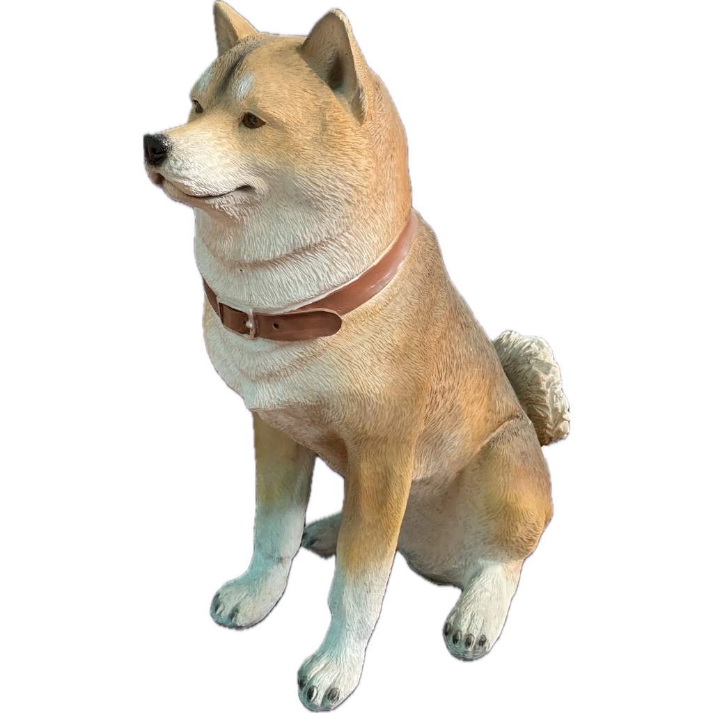 胡麻柴的價格推薦- 2026年1月| 比價比個夠BigGo