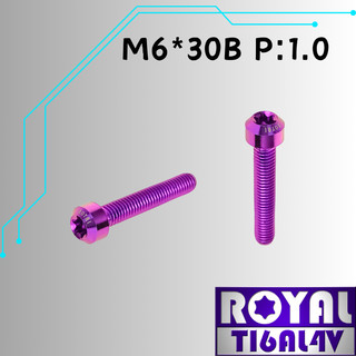 【瘋螺絲】ROYAL 鈦合金螺絲★M6*30B P:1.0 錐形螺絲★64鈦/正鈦/鈦合金螺絲★出貨附發票★皇家紫