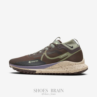 【白頭鞋腦👨🏻‍🦳】Nike Pegasus Trail 4 GTX 小飛馬防水運動鞋｜HF5707-201｜現貨
