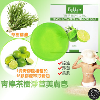 ※八戒批發※ 青檸茶樹淨荳美膚皂 洗面皂 肥皂 洗顏皂 茶樹香皂 控油 角質 緊緻 毛孔 碧荷柏