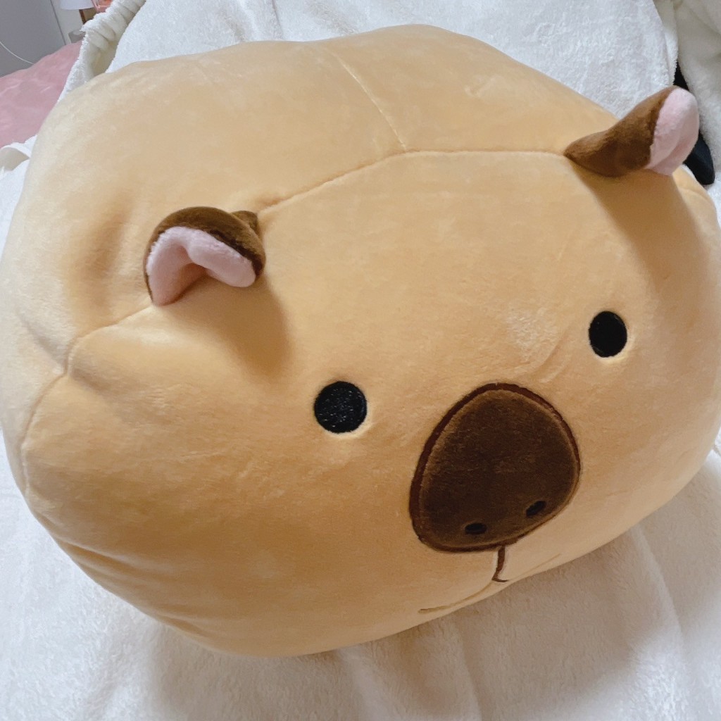 白柴犬娃娃的價格推薦- 2026年1月| 比價比個夠BigGo