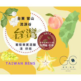 【亞軍 世界盃烘豆大賽 臺灣區】濾掛式咖啡 臺灣豆 咖啡豆 特殊 莊園咖啡豆 淺焙咖啡 臺東 流淚谷