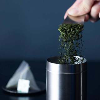現貨💗日本製 SALUS 18-8不鏽鋼 茶葉匙 茶葉勺 茶葉 咖啡 花茶 茶箕