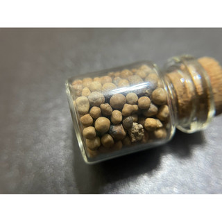 {泰國至寶}龍宮舍利-靈骨舍利子（含瓶）-結緣價-
