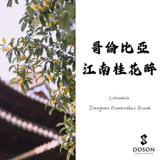 ▸ 豆桑獨家 ◂ 哥倫比亞 江南桂花醉 萊姆酒桶發酵 卡斯提優 咖啡生豆500g