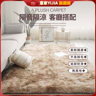地毯臥室客廳床邊毯ins 長毛地毯 長毛地墊地毯 北歐大地毯 絨毛地毯 客廳房間臥室床邊毯 毛絨大地墊 毛地毯 坐墊毛絨