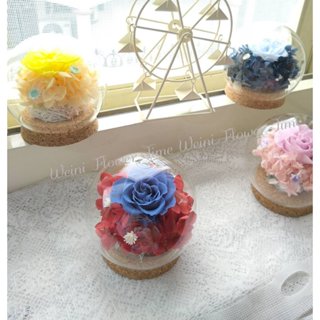 WeiNi 永生玫瑰花玻璃球 永生花 乾燥花 玻璃罩 成品 10cm 非材料包