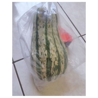 可愛模擬小巧/南瓜娃娃/絨毛玩具/吊飾掛件/抱枕擺件/裝飾