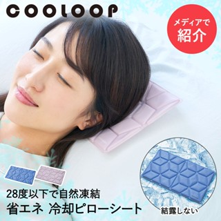 臺灣24H出貨【COOLOOP．冰枕】冰涼枕 冰枕 涼感枕頭 枕頭 涼感枕 冰墊 涼墊 涼感坐墊 降溫冰枕 寵物冰墊