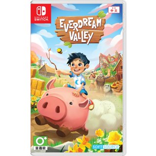 任天堂 Switch NS Everdream Valley 夢幻谷 中文版