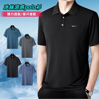 冰絲polo衫 排汗polo衫 商務休閒短袖 夏季短袖polo衫 彈力速乾衣 排汗衣 冰絲短袖 polo衫男 涼感衣