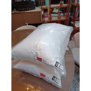 正品 杜邦(DU PONT) 羽絨枕 五星級酒店指定款 輕款1300克 藍色滾邊
