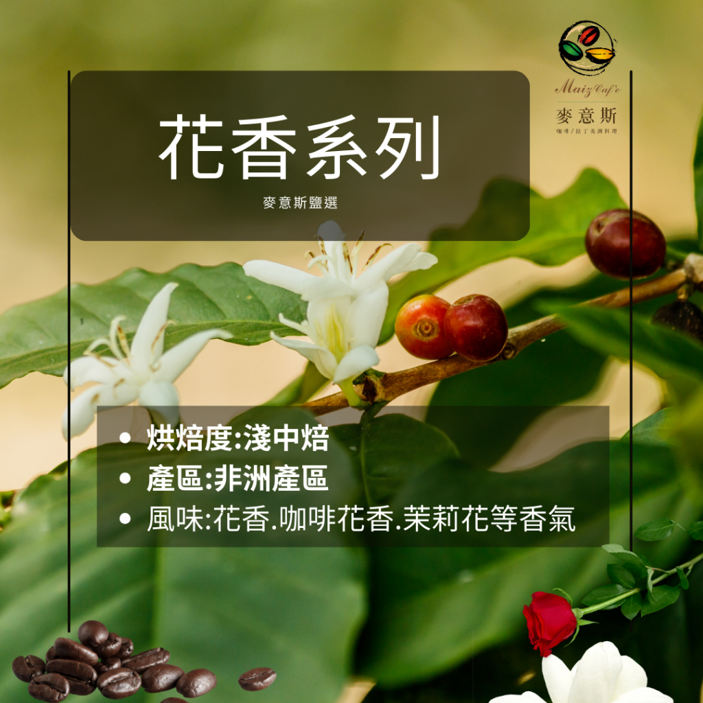 [麥意斯咖啡] 衣索比亞 耶加雪菲/大眾化口味/熱銷/花果香/手沖咖啡