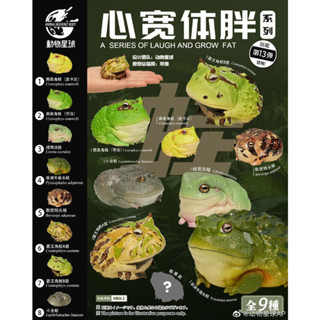 【MOVE】 (現貨) 動物星球 心寬體胖系列 第十三彈 青蛙 vol.1 角蛙 牛蛙 饅頭蛙 小丑蛙 公仔 盒玩 盲盒