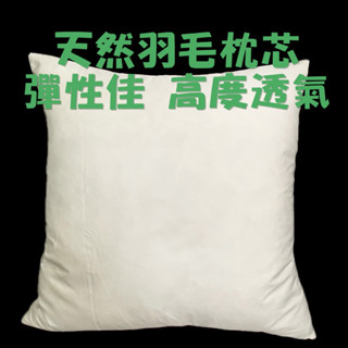 ［✨古德納先生］臺灣訂製五星級天然羽毛抱枕芯 沙發抱枕芯 靠枕芯 羽毛枕芯 羽毛抱枕芯 可水洗羽毛抱枕芯