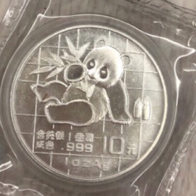 1989年熊貓銀幣（GN13)