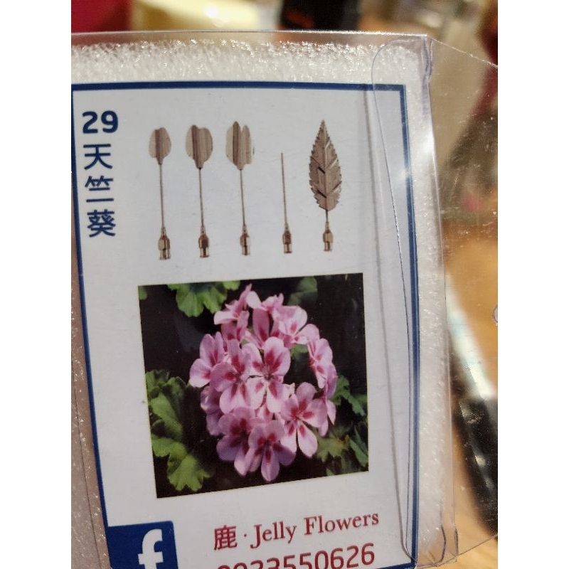 果凍花專用花針29天竺葵