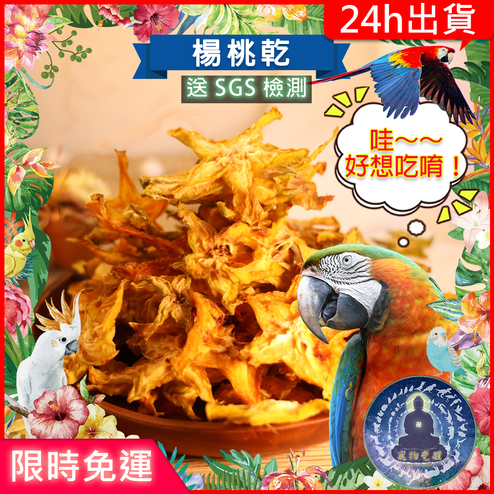 【寵物覺醒24h出貨】天然楊桃乾小寵鸚鵡點心獎勵零食穀物兔子倉鼠黃金鼠三線鼠老公公鼠一線鼠鸚鵡飼料