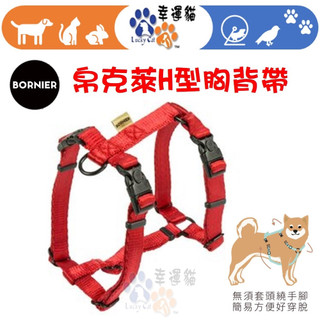 【幸運貓】BORNIER 帛尼爾 帛克萊 2+1扣H型胸背帶 S M L 號/ 共九色，無須套頭! 無須套腳!