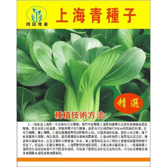 四季上海青 種子白菜 種籽蔬菜種子 青菜小白菜  四季  易種盆栽蔬菜種子