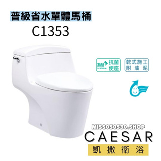 Caesar 凱撒衛浴 C1353 省水馬桶 單體馬桶 省水單體馬桶 馬桶 浴室馬桶 單體