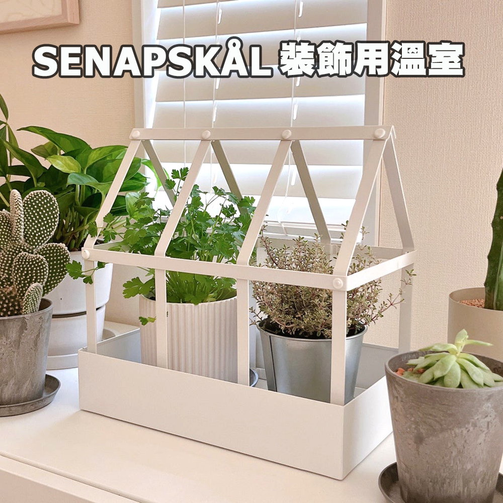 [ IKEA代購 ] SENAPSKÅL 裝飾用溫室-34公分[ 超取👌］