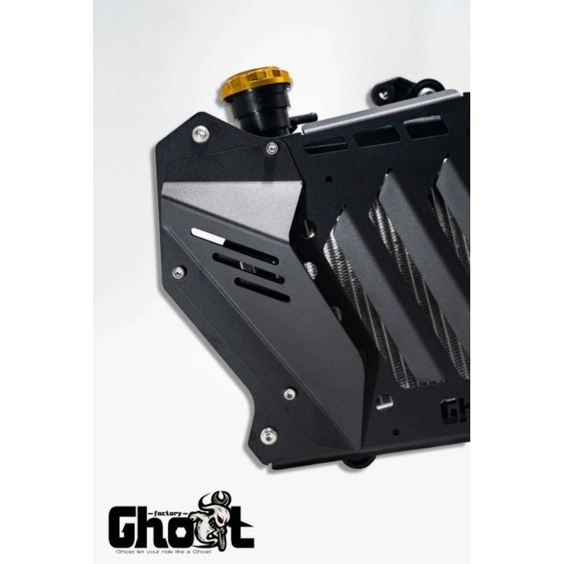 Ghost 古斯特 B8R 水冷 勁戰 BWS AUGUR FORCE 2.0 Nmax 不鏽鋼烤漆 導風 水箱罩