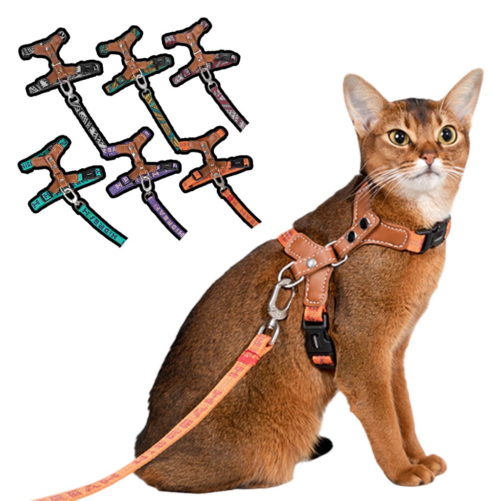 HIDREAM 啵啵系列 反光皮革貓咪胸背帶牽繩組 寵物胸背帶 寵物牽繩 6色 - 艾爾發寵物 Alphapetstw