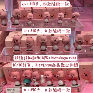 預購官方 10/10截單 韓國代購 Loopy 公仔 盲盒 公仔 海狸 盧比 露比 盒玩 娃娃