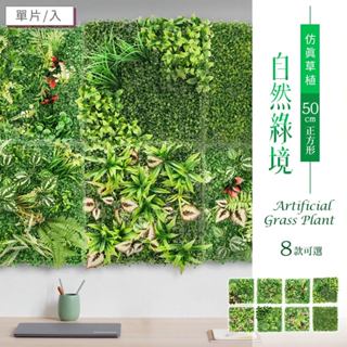 比架王 仿真草植-自然綠境(50cm正方形/8款可選) 植生牆/仿真植物牆/大尺寸/背景牆/形象牆/植草磚