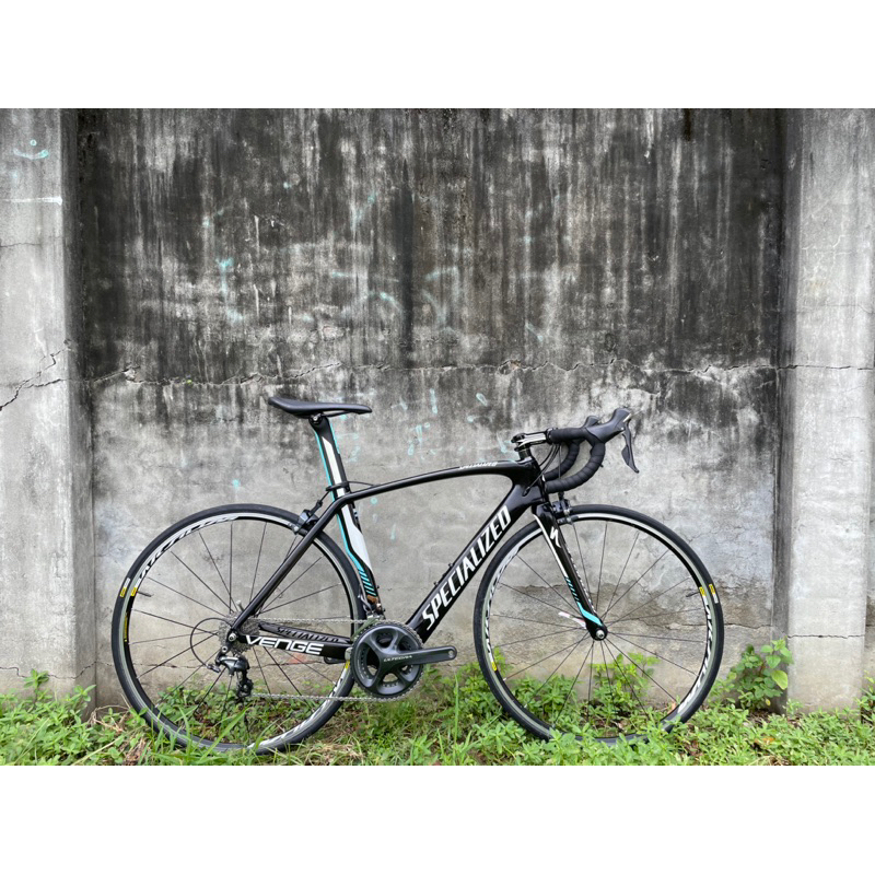 閃電碳纖維空力車世界衝刺王特仕版specialized venge