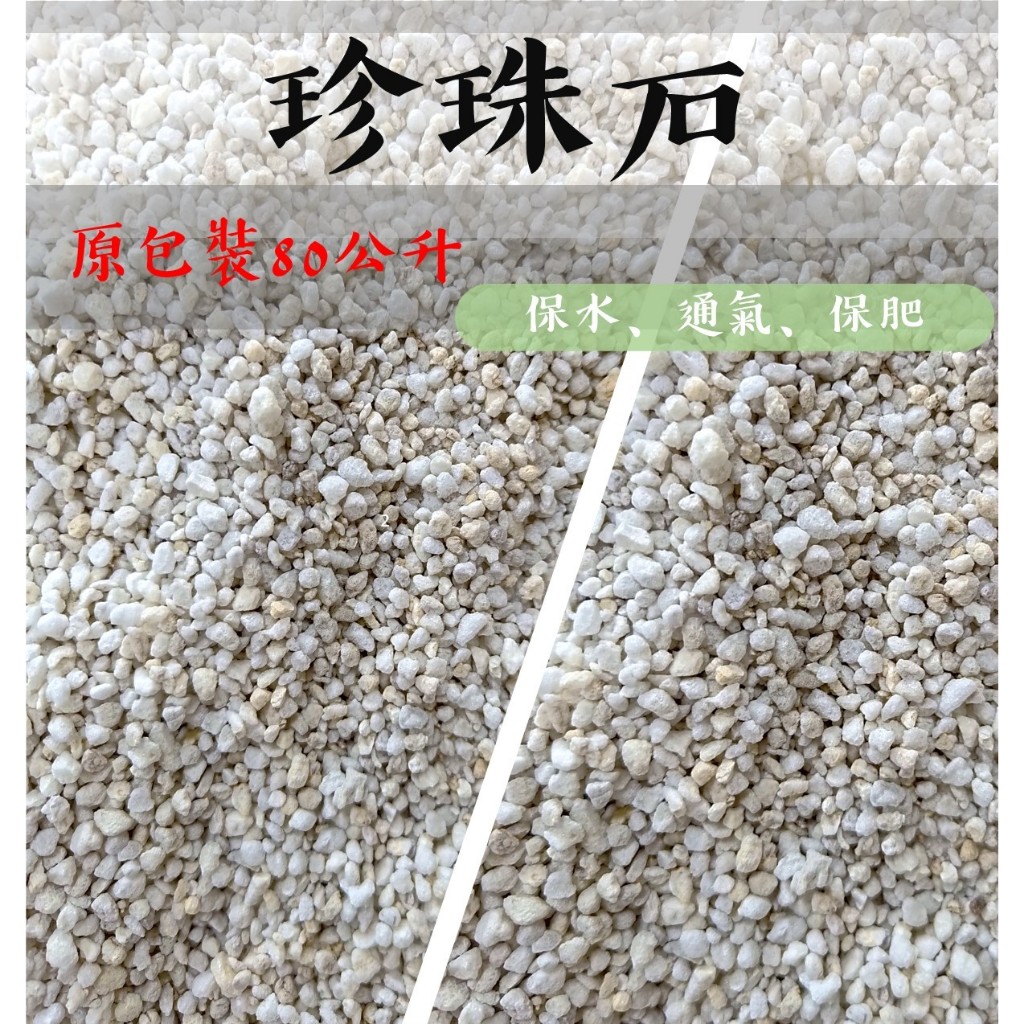 【滿799送短刃芽切剪乙支】👍🏻原包裝★珍珠石80公升 真珠石Perlite 矽酸鋁火山岩(白硅石類)