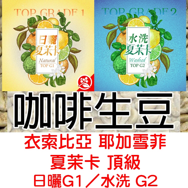 2023年 生豆 衣索比亞 耶加雪菲 夏茉卡 頂級 日曬G1／水洗 G2|紅圈計畫-世界咖啡生豆 咖啡豆 精品豆 莊園豆