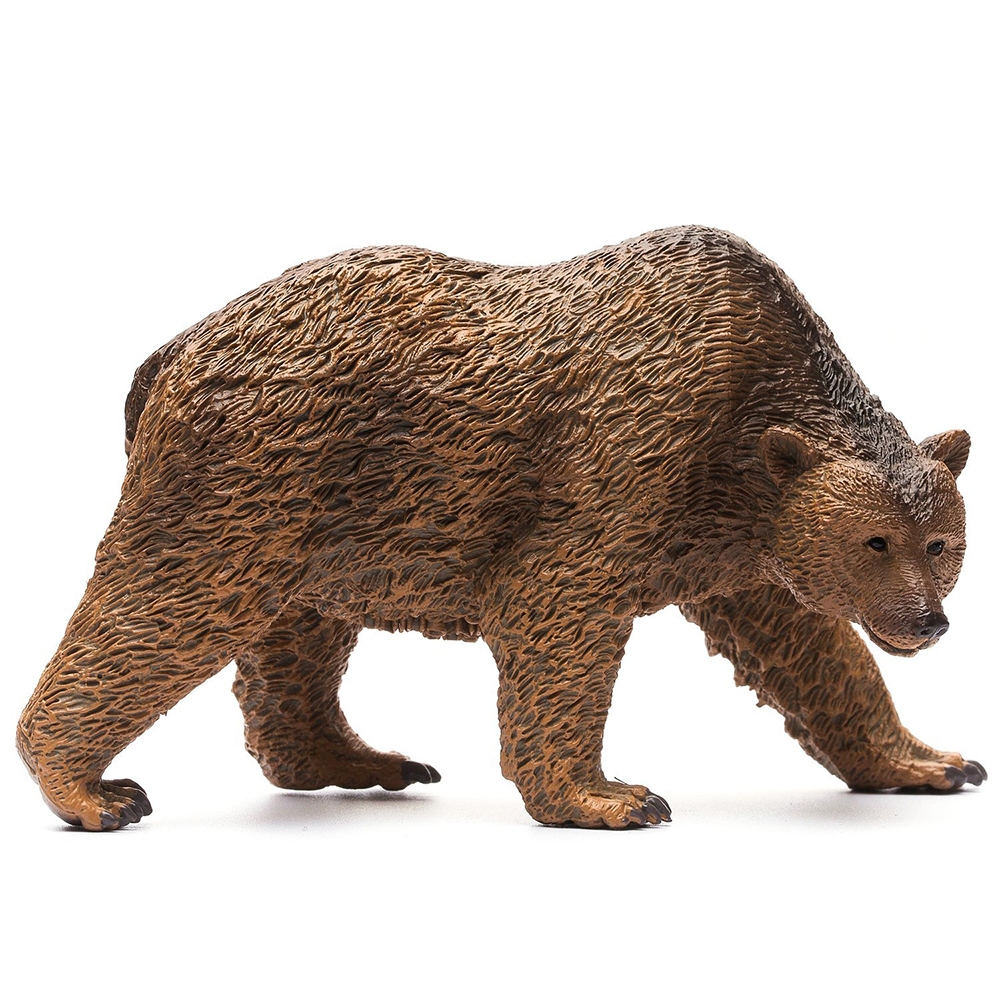 COLLECTA動物模型 - 棕熊