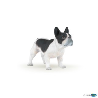 【法國 PAPO 純正品】54006 黑白花色 法國鬥牛犬_精緻模擬動物模型_狗貓夥伴_環保安全_益智 玩具_新品
