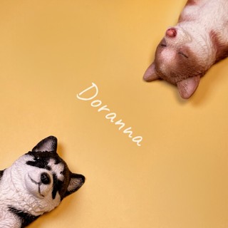 「Doranna」JXK正版 現貨 哈士奇 模型 手辦 冰箱磁鐵 可愛狗狗 汽車擺飾 動物模型 生日禮物 模擬動物