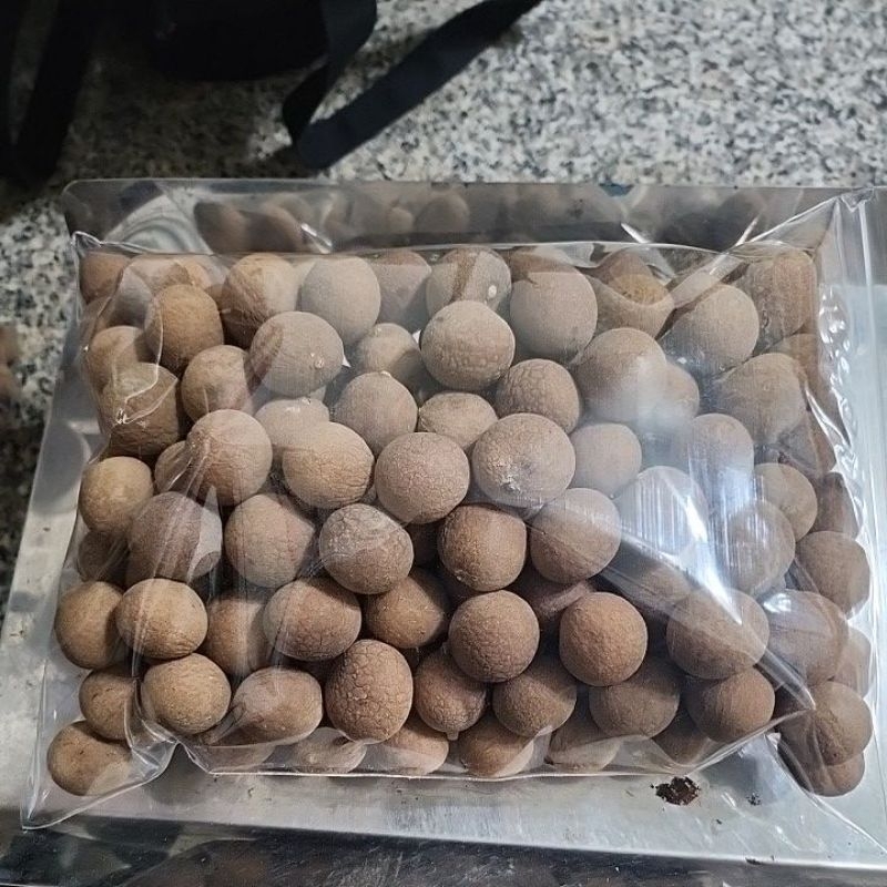 太平頭汴坑碳培龍眼乾一包600g