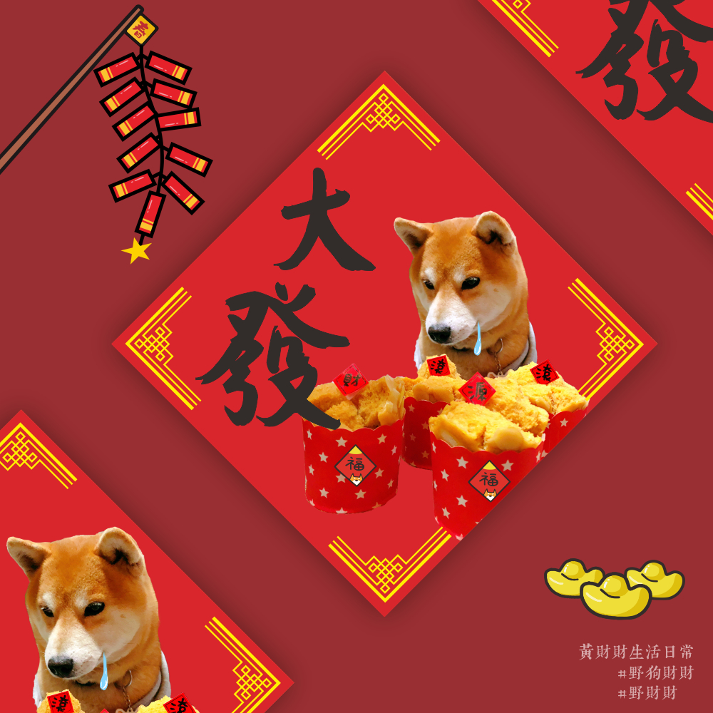 雙面都有圖 柴犬春聯｜大發 發糕春聯 過年 喜慶裝飾 發財春聯 寵物春聯 可愛柴犬 斗方 方形春聯 新年快樂 萌柴 赤柴