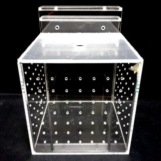 ▶青森水族◀ 手工壓克力隔離盒 開放缸 邊條缸兩用 飼養盒 壓克力盒 魚缸隔離盒 飼育繁殖盒 【10、13、15公分】