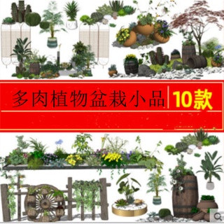 Y雲空間---素材【G|mai|傳送】---新中式民宿茶室度假村別墅庭院多肉植物盆栽景觀小品仙人掌SU模型