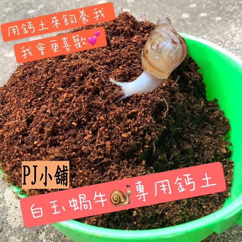 PJ小舖 白玉蝸牛專用鈣土  培養土 專用土 新興寵物 蝸牛土