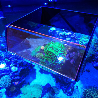 新品Top Down Viewer【美國🇺🇸FLIPPER】俯視觀景盒(附濾鏡) Top Down Viewer 彼得貓