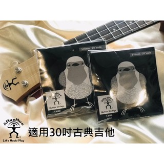 【老羊樂器店】法國製 Anuenue S Bird弦 30吋 古典吉他弦 尼龍吉他弦 classical guitar