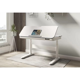 健康工作方式重新定義！體驗 Flexispot SD8W 電動升降書寫桌