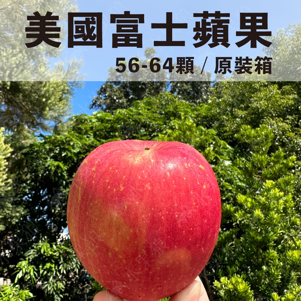 (免運)美國富士蘋果原裝/禮盒 特大 尺寸#56-64顆｜水果狼FRUITMAN