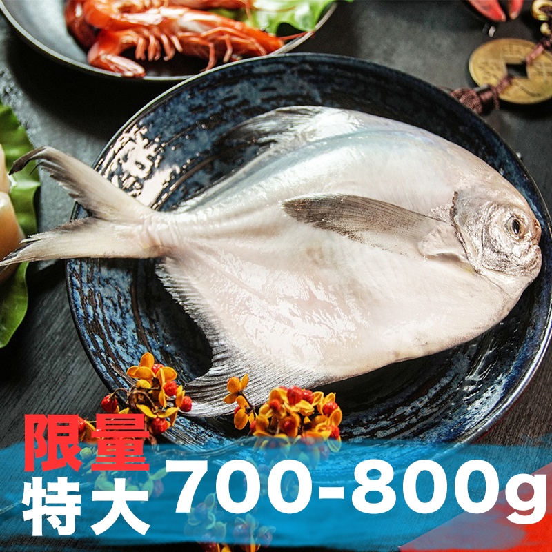 特大！南海豐【特大野生白鯧魚】700g-800g尾 船釣急凍，鮮度極鮮 送禮圍爐 過年團圓 拜拜必備 過年魚必備