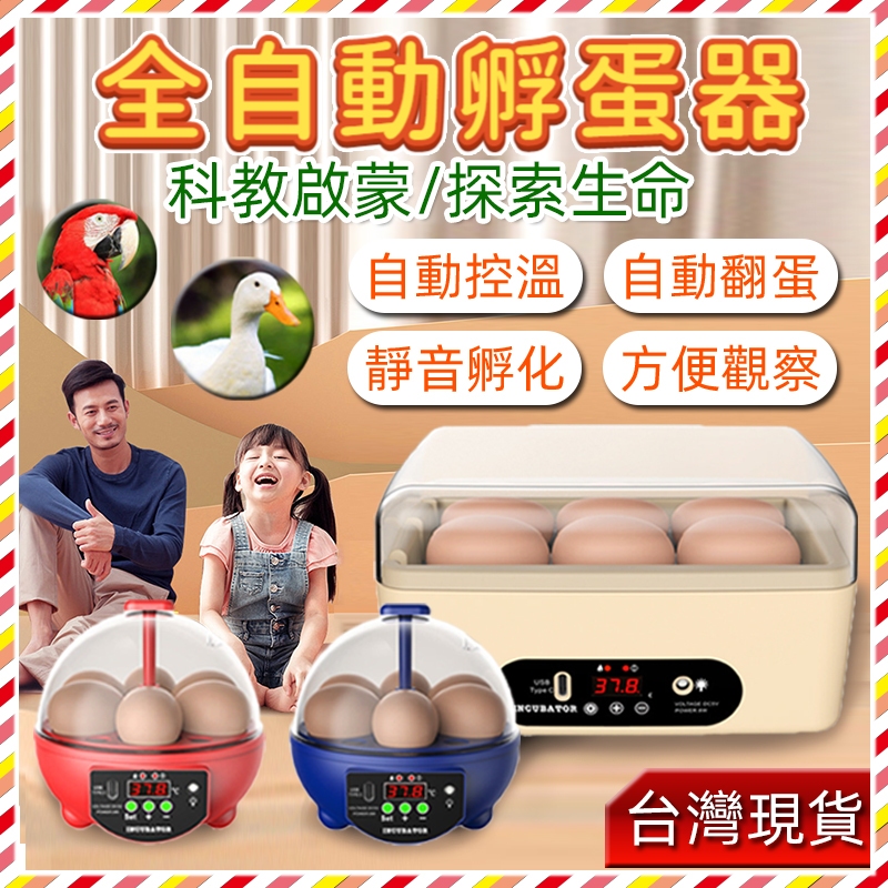🔥台灣樂購🔥 孵蛋機 孵化器 USB全自動 小型孵化箱 教育啟蒙孵化機 雞鴨鴿子鵪鶉孵蛋器 控溫孵化箱智能孵蛋箱