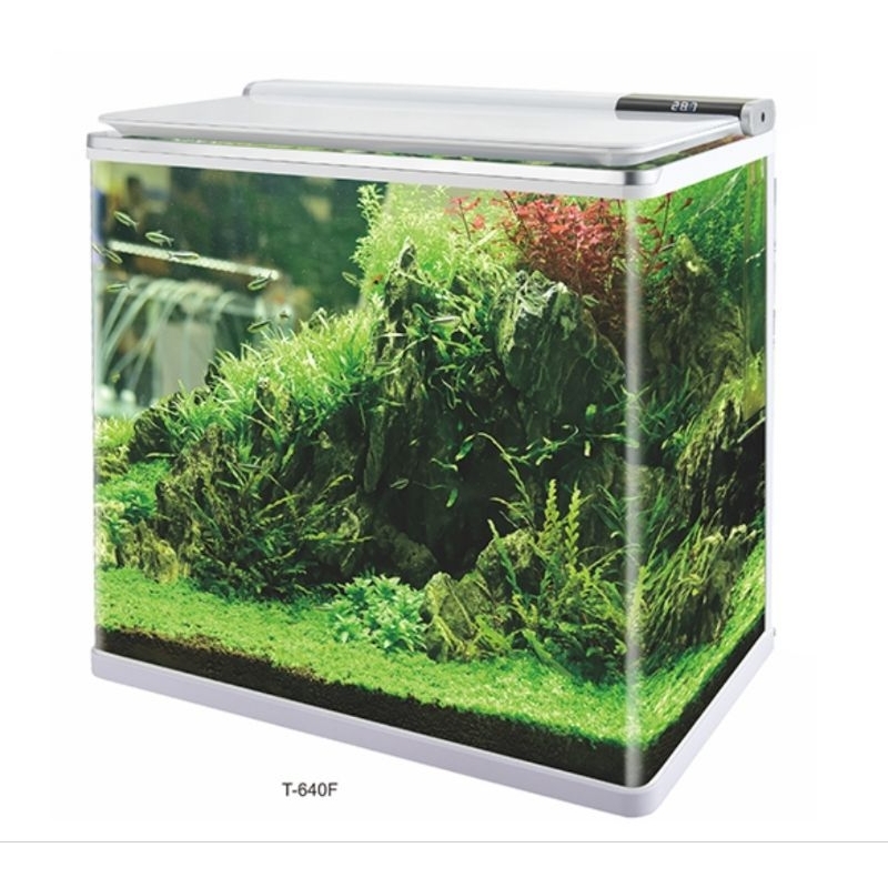 🎊🎊 SOBO 松寶 頂濾式ㄇ型套缸 (一組) 燈具 + 馬達 + 濾棉 套缸 智能魚缸 魚缸 松寶 套缸 SOBO魚缸